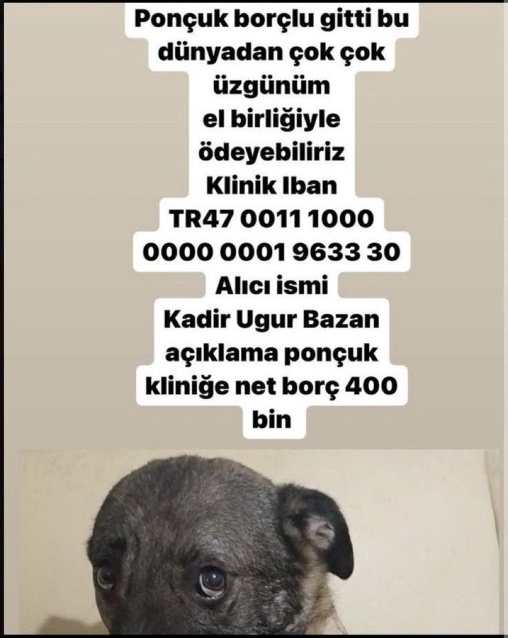 Sertac Aksan tweet media