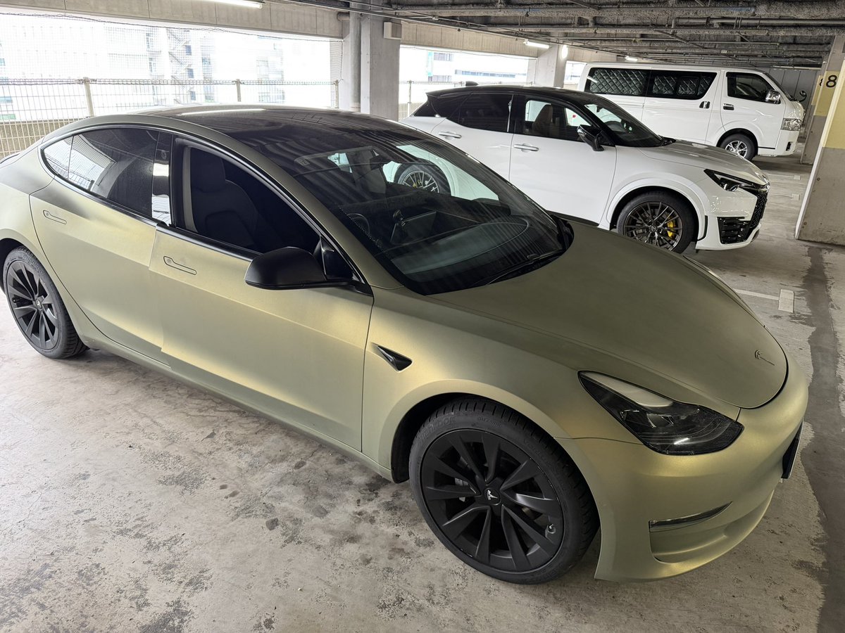 DanとTesla tweet media