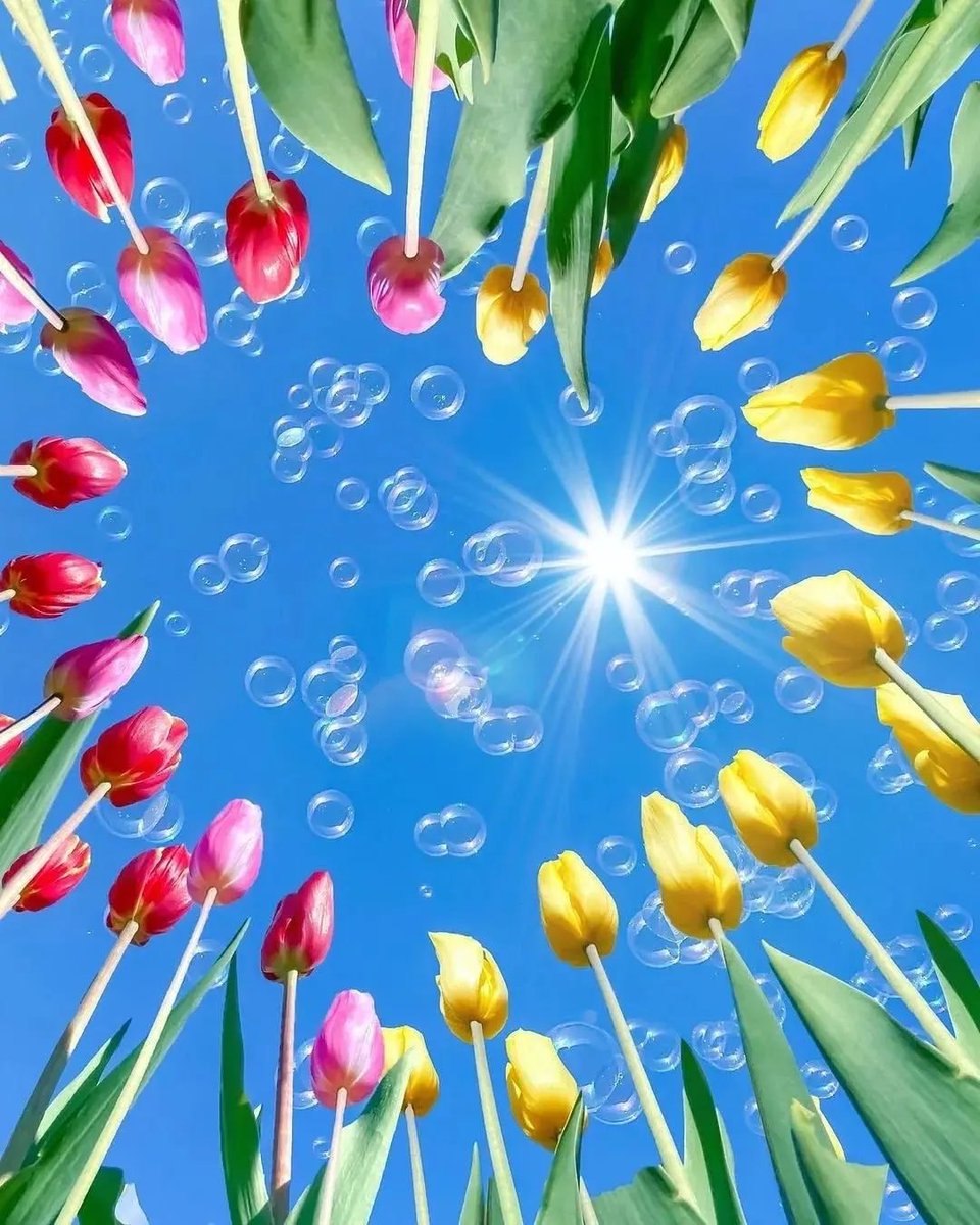 Ahsen 🐾 tweet media