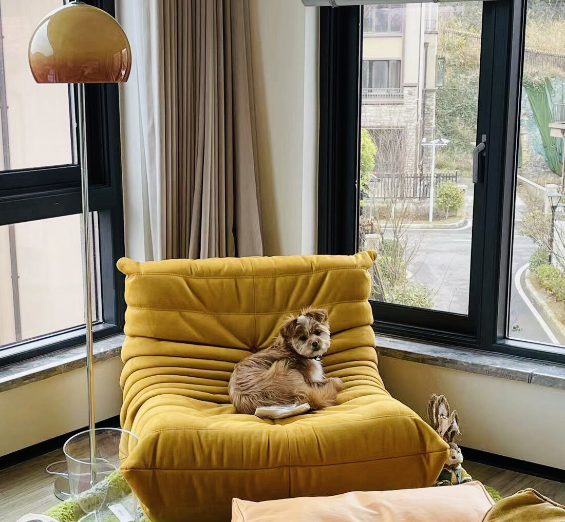 Schwaller Thibauld tweet media