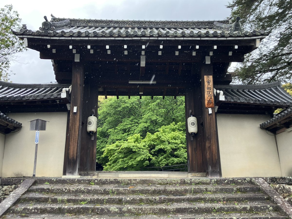 seitennari18's tweet photo. @YamagamiShingo 人がいない静寂の中、カエデが床に映り込む「床みどり」はもう息をのむ美しさ。日本🇯🇵はいいなぁ。教えて頂きありがとうございました❗️ https://t.co/UsDiUd366f