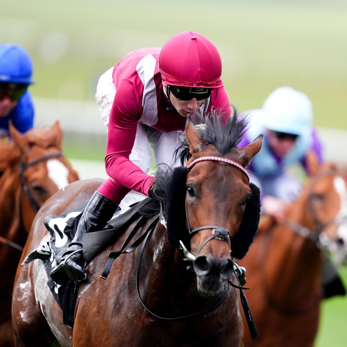 AtTheRaces's tweet photo. 1⃣5⃣ declared for the 2,000 Guineas! 🏆

🔸 Alparslan
🔸 Avicenna
🔸 Billecart
🔸 Bow Echo 
🔸 Distant Storm
🔸 Gstaad
🔸 Into The Sky
🔸 King's Trail
🔸 Lord Britain
🔸 Needle Match
🔸 Oxagon
🔸 Padraig Dawn
🔸 Power Blue
🔸 Thesecretadversary
🔸 Venetian Prince https://t.co/qCLmy3tqm9