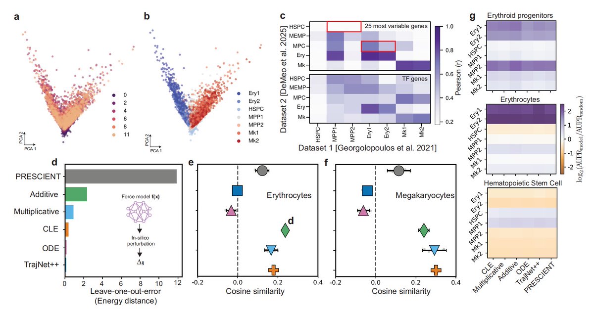 Tech_Bioinfo's tweet photo. 🧵 **Thread: Learning biophysical gene regulation dynamics with Probability Flow Matching**

Single-cell RNA-seq gives us snapshots of the transcriptome, but inferring the underlying *stochastic* gene regulatory dynamics remains a fundamental challenge—most methods either lack mechanistic interpretability or fail to generalize beyond observed conditions.

The paper introduces **Probability Flow Matching (PFM)**, a scalable simulation-free framework that learns biophysically consistent stochastic processes directly from time-resolved single-cell data. The key innovation? PFM leverages flow matching with Chebyshev polynomial interpolation to regress probability flow velocities without expensive ODE solves, while naturally accounting for intrinsic noise and cell proliferation/death. This enables inference in native gene space rather than black-box latent embeddings.

On hematopoiesis datasets, PFM shows that models with similar interpolation accuracy can encode fundamentally different dynamics—only biophysically consistent formulations (e.g., Chemical Langevin Equation) accurately capture lineage transitions, generalize to unseen perturbations, and predict knockout effects (KLF1/FLI1) faithfully. Deterministic models interpolate well but fail mechanistically.

Is biophysical consistency the missing piece for reliable *in silico* perturbation modeling in single-cell biology? 🧬

#AI #MachineLearning #SingleCell #GeneRegulation #ComputationalBiology #FlowMatching #scRNAseq

📄 Paper: [TODO: paste link here]