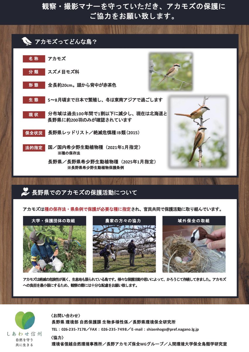 豊橋総合動植物公園(のんほいパーク) tweet media
