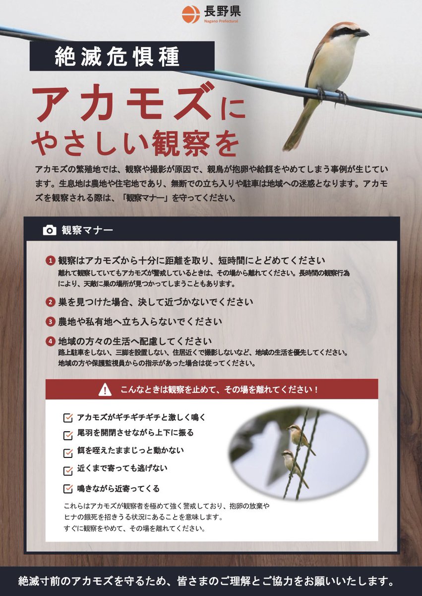 豊橋総合動植物公園(のんほいパーク) tweet media
