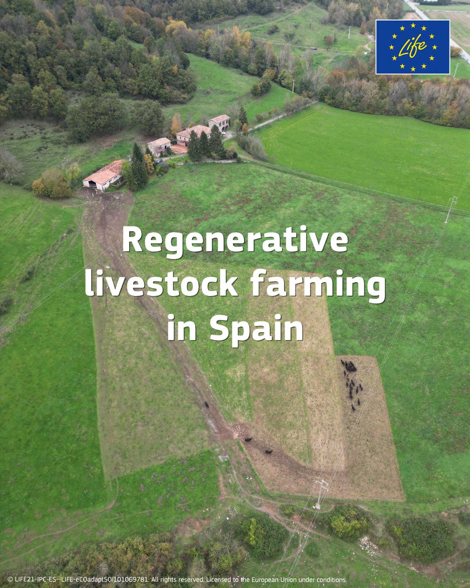LIFEprogramme's tweet image. #ClimateAction requires coordinated local responses.

The #LIFEProject eCOadapt50 helps develop practical climate adaptation solutions

🤝 25 partners
🌱 78+ actions

all focused-on building long-term resilience!

Learn more: ecoadapt50.eu/en