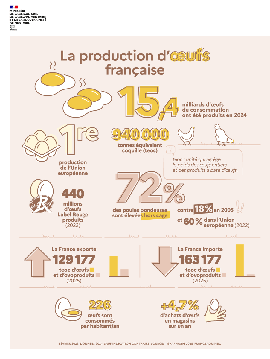 Avec 15,4 milliards d’œufs de consommation produits en 2024, la France confirme sa place de premier producteur européen 🍳

Élevage, consommation, exportations et importations : découvrez les #ChiffresClés de la production d’œufs française dans votre #JeudiInfographie ⤵