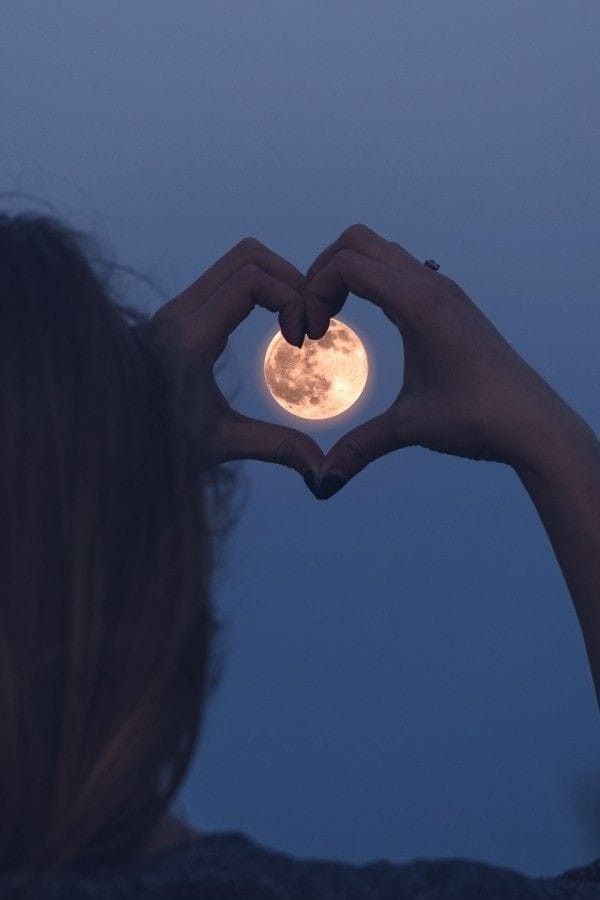 Moon Lovers tweet media