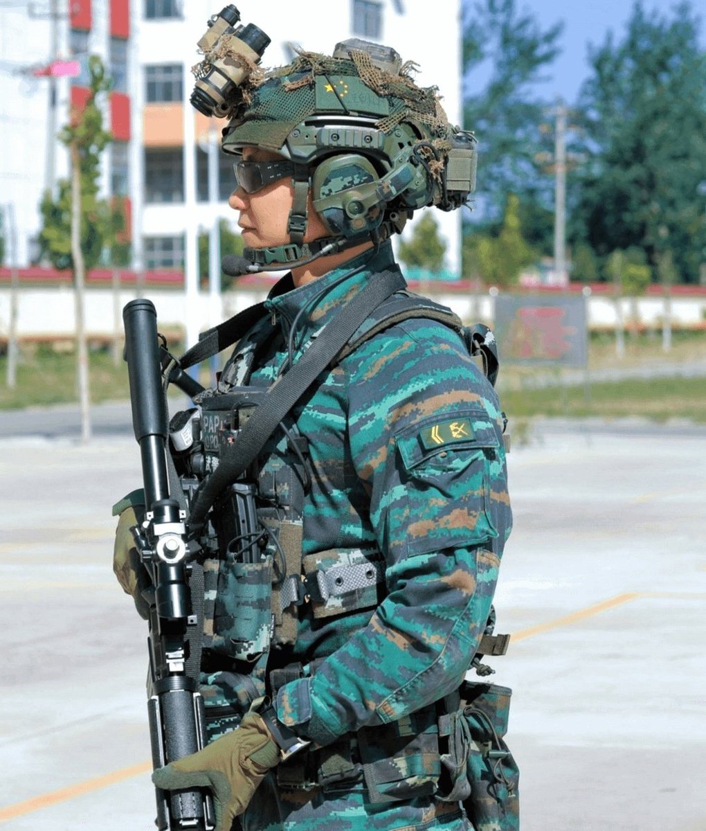 Makistan1776's tweet photo. China actually has cool camouflage patterns 🐼

Names in 'ALT' https://t.co/YwrPYzI4gB