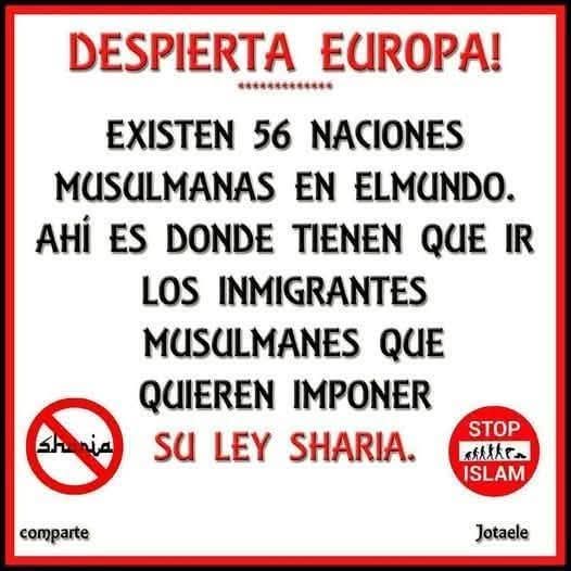 NOMO🙏✝️AlServicioDeDios tweet media