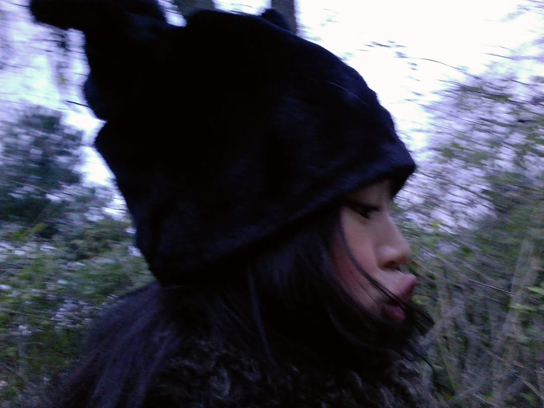 카니를 찾아서 tweet media