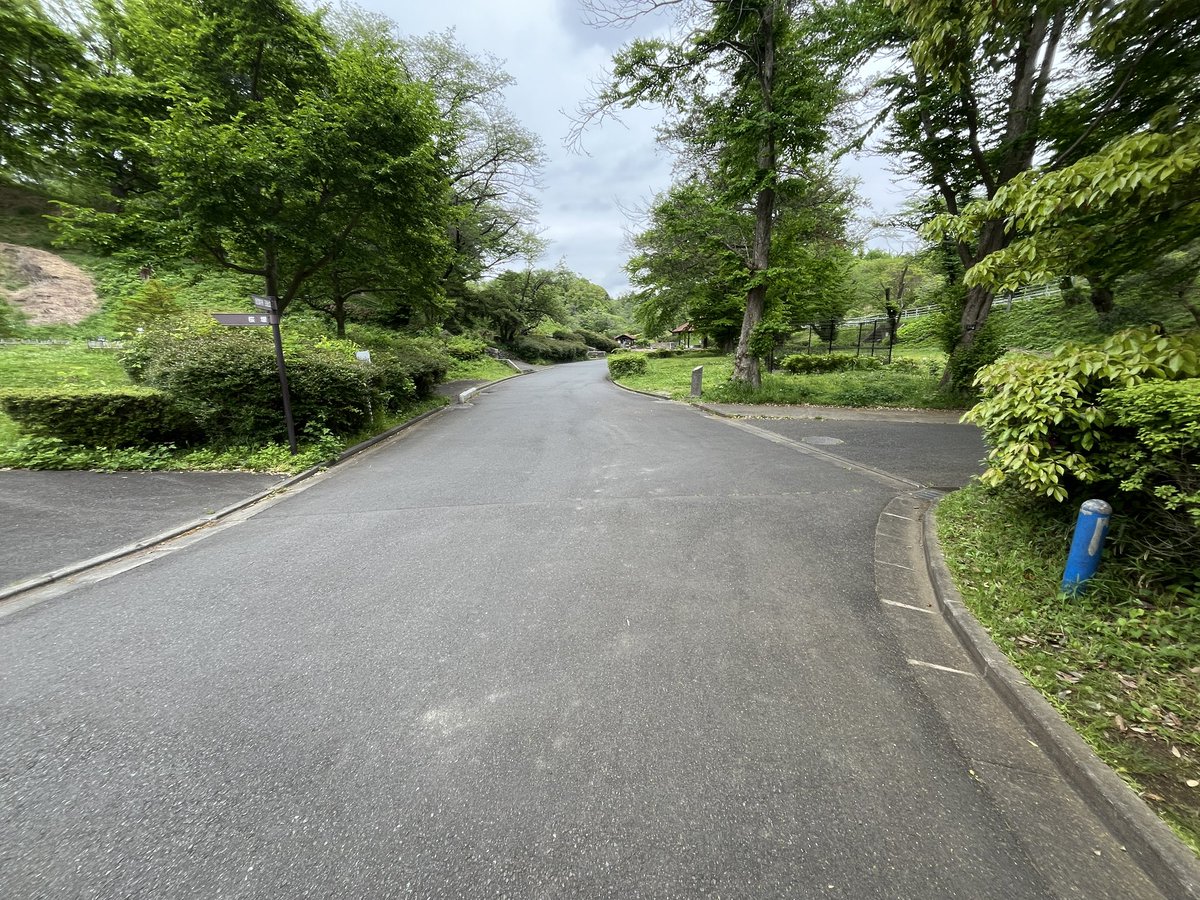 こどもの国 tweet media