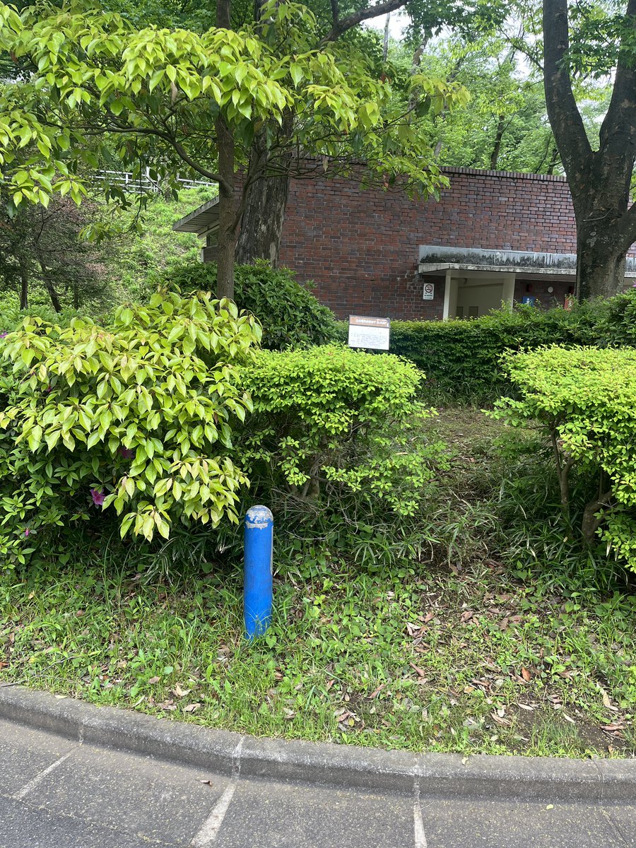 こどもの国 tweet media