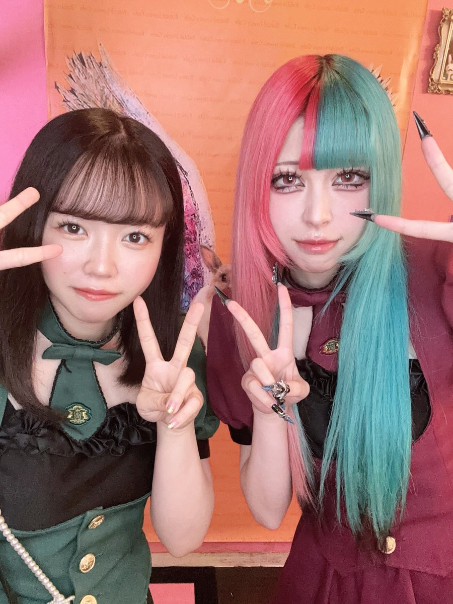 rabiraba_cafe's tweet photo. ＃ラビットラバーズカフェ オープンしました‼️

本日のうさガールは

🤍ねる　@rlc_neru 
🤍あざらし @rlc_azrs 
🤍せり @rlc_seri 

です‼️ショット飲む度-110R!!!!🤏
本日もご来店お待ちしております🌟 https://t.co/l02eHLbq24