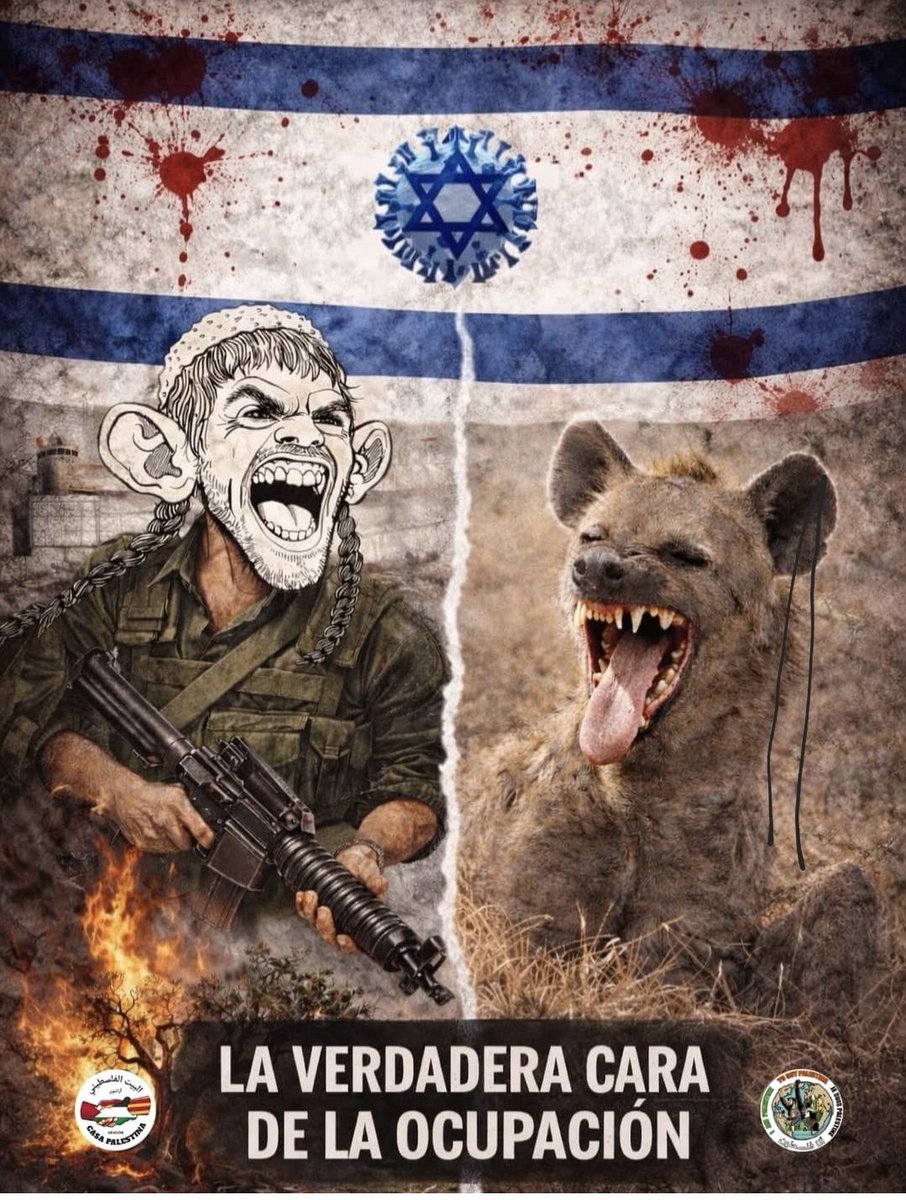 Sandynb SOY NICHITO tweet media