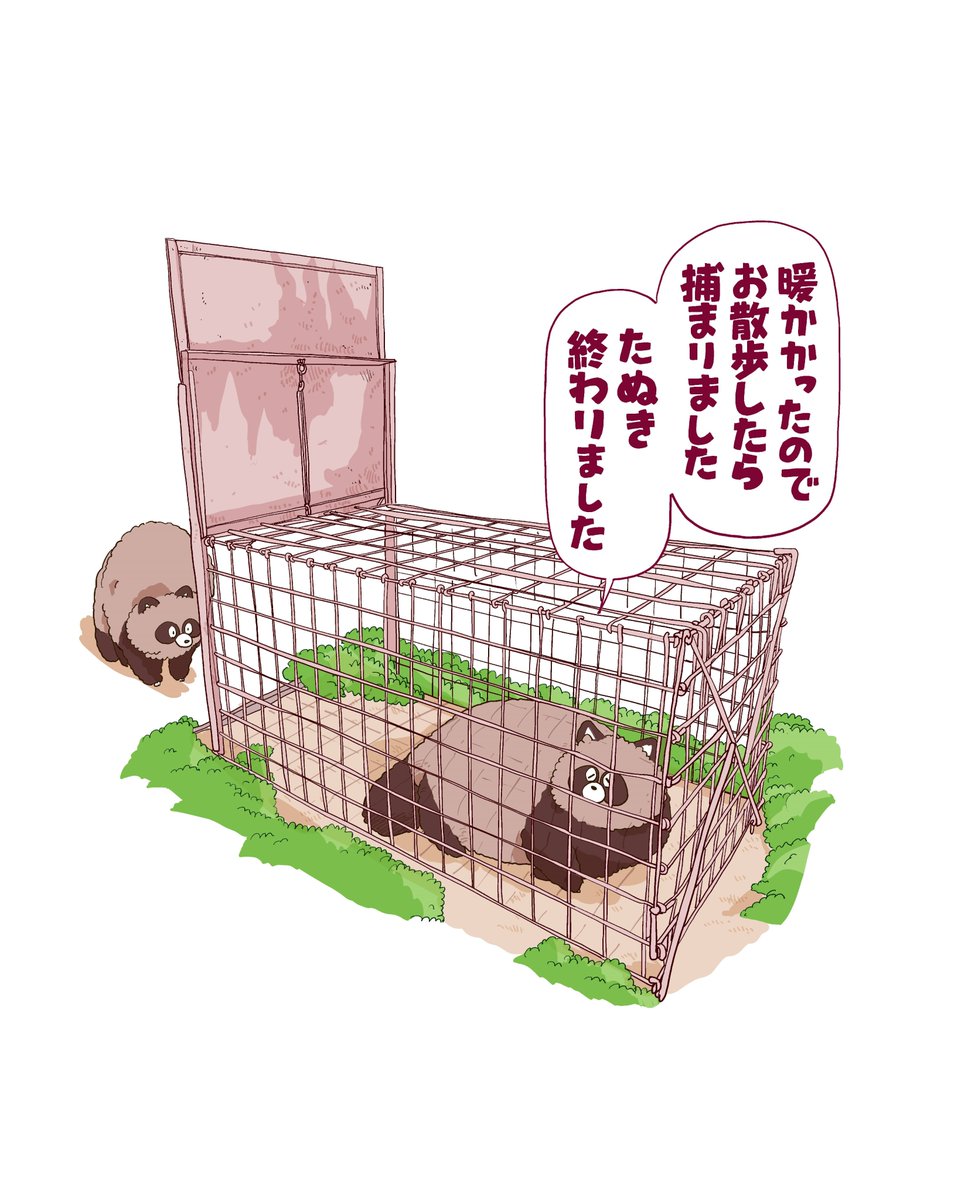 渡邉ポポ tweet media
