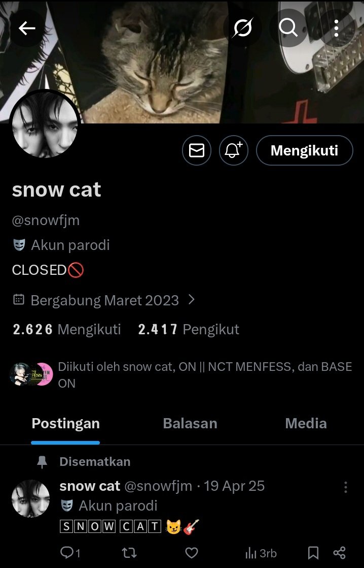snowcat🛞 LIMIT tweet media