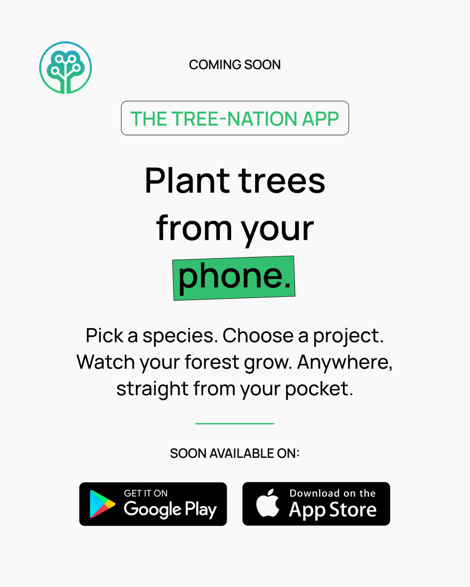 treenation's tweet image. 🌱 The Tree-Nation app is coming soon! 
We wanted to put the power of reforestation in your hands, literally, so now you can pick a species, choose a project, and watch your forest grow from your pocket. 

🔔 Stay tuned!

#TreeNation #Reforestation #ClimateAction #Sustainability