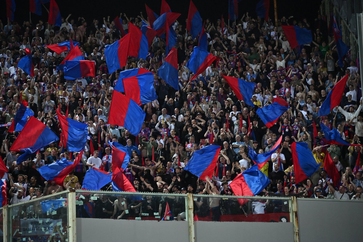 Crystal Palace Associate Partnership tweet media