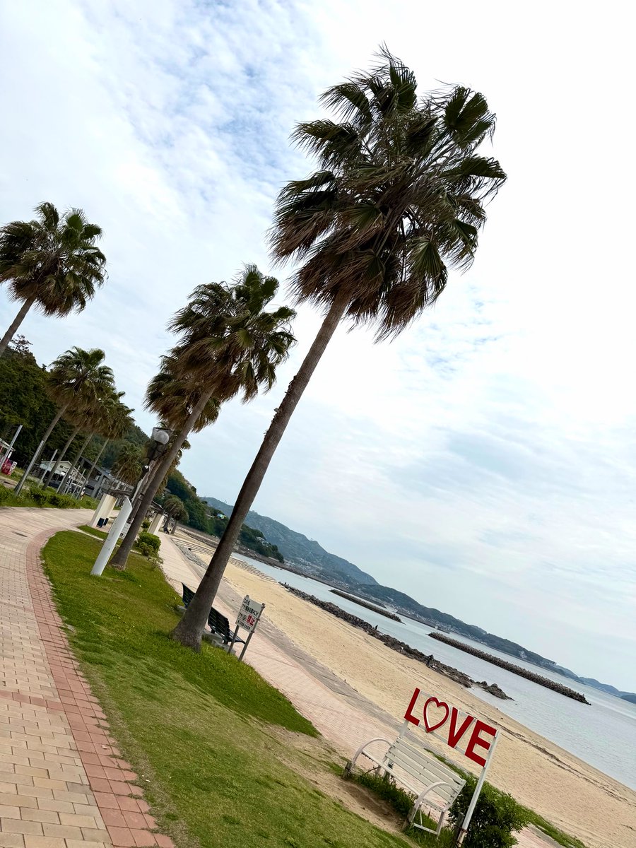 あん婚約中 tweet media