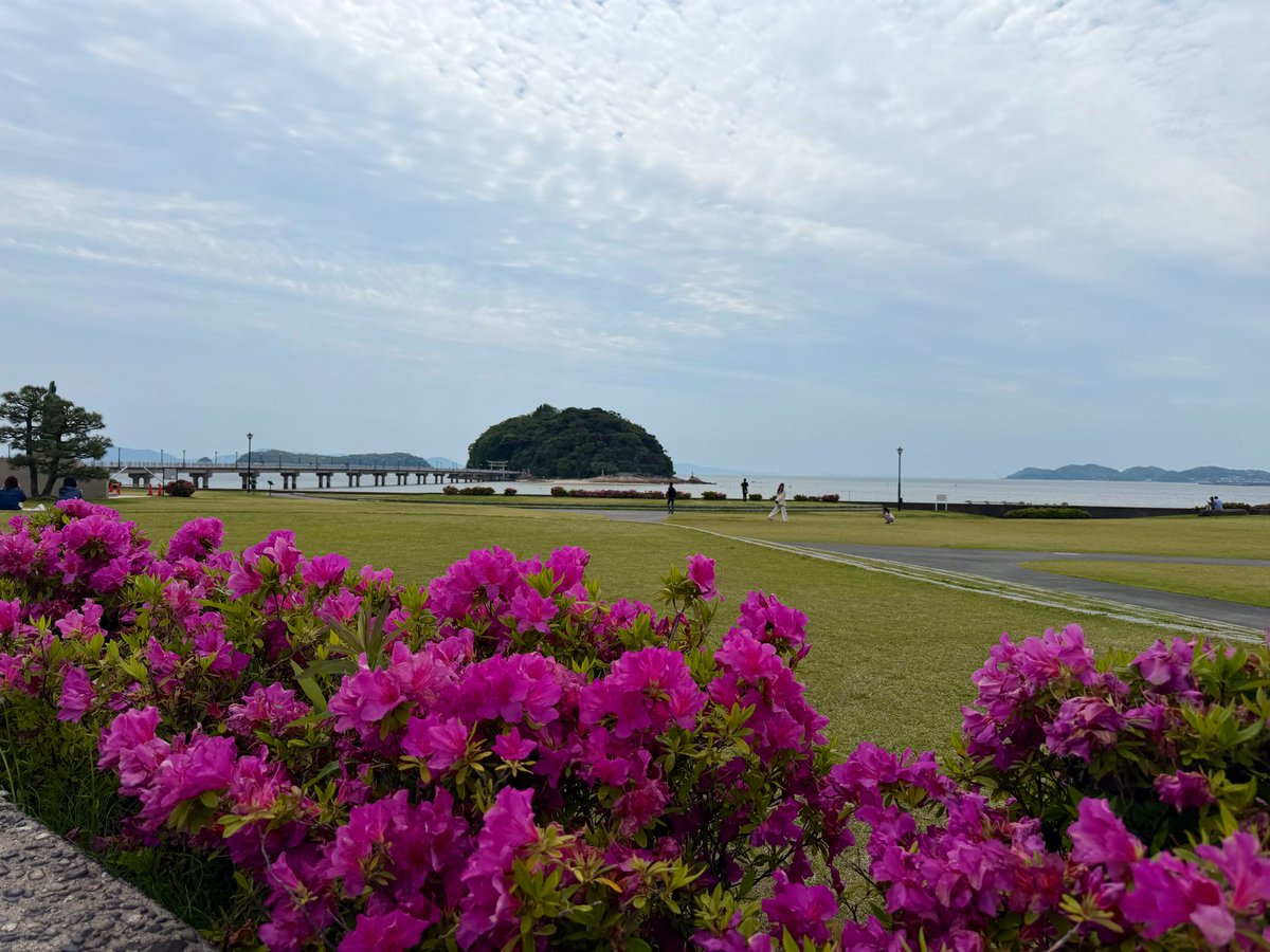 あん婚約中 tweet media