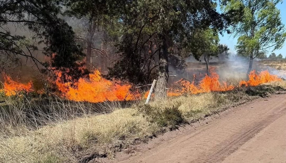 Uitgebreide natuurbrand op militair oefenterrein bij ’t Harde