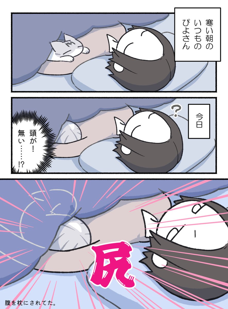 もふのいる生活 tweet media