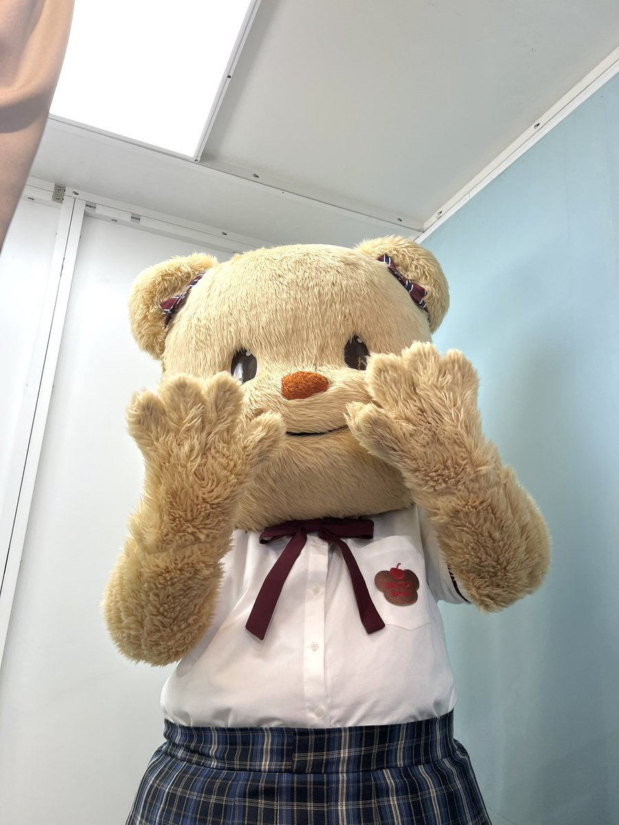 Butterbear.kr tweet media