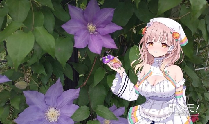 花好きなでんこと近所で季節の花など

メイとホウチャクソウ
ももなとヒメシャガ
ももなとクレマチス(パテンス系統)

ホウチャクソウは地味な毒草だけど、淡緑色の花が可愛くて好こ〜🥰