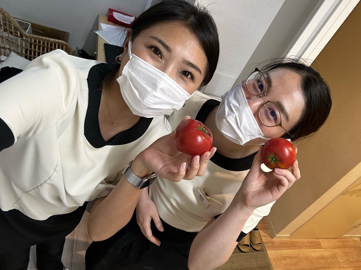 caresalonREPOS's tweet photo. お客様から美味しそうなトマト🍅いただきました☺️ https://t.co/J7AHx1v0sm