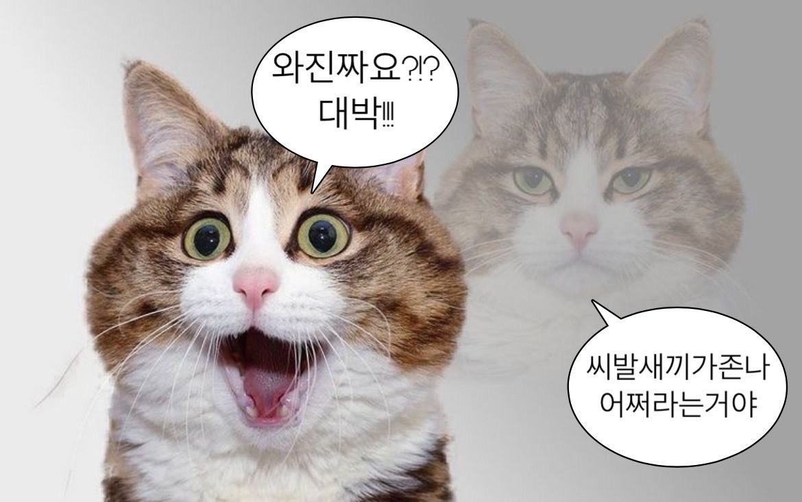 몽카 tweet media