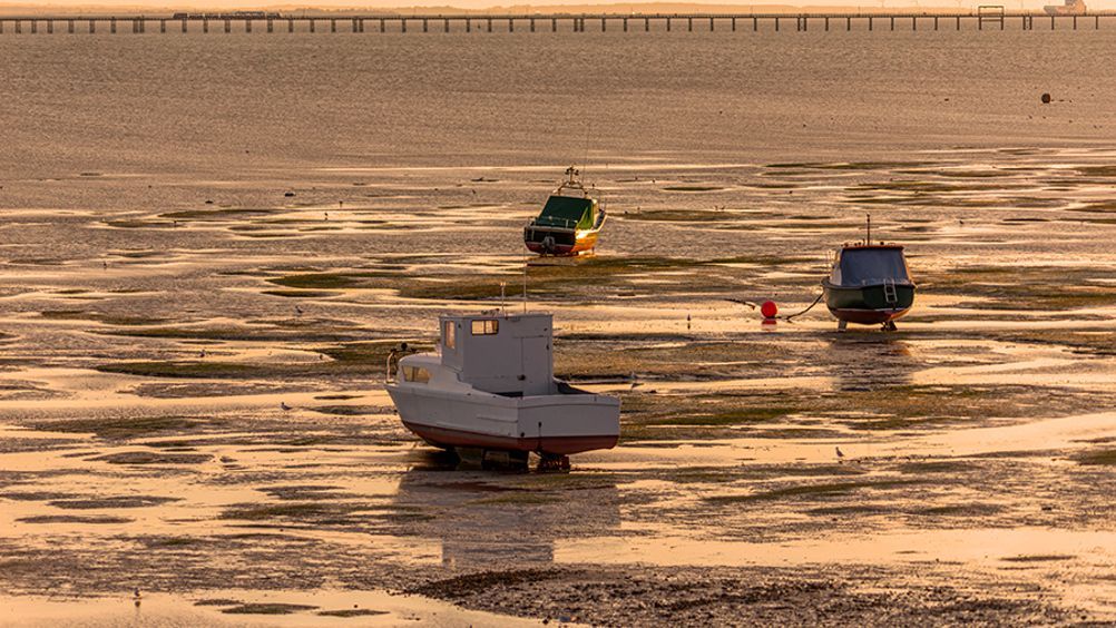 SecEd_Education's tweet image. A rising tide lifts all ships: Education charity @naceuk has appointed @pkainsworth as its new CEO. His focus will include tackling the barriers faced by able disadvantaged pupils &amp;amp; strengthening a culture of #ChallengeForAll across #schools: buff.ly/4fudtmm #teaching