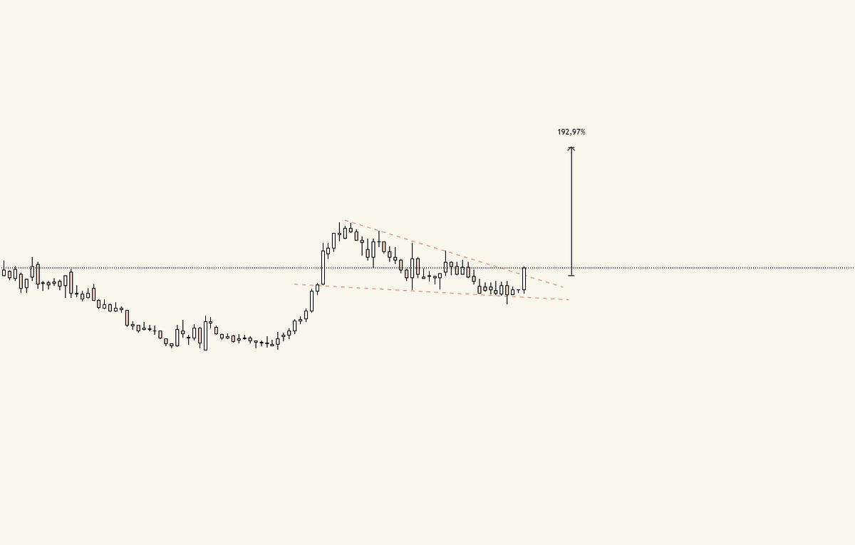 Ebu FinX tweet media