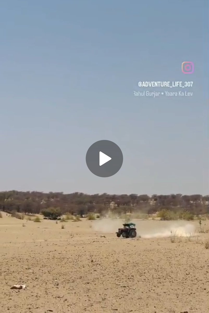 dilthi_gujarati's tweet image. 🚨#HumanMenace trying to kill Indian Dog 
 | #JAISALMER #RAJASTHAN #India

सोशल मीडिया पर वायरल वीडियो में कुछ लोग ट्रैक्टर से एक कुत्ते का पीछा कर उसे नुकसान पहुंचाने की कोशिश करते दिख रहे हैं। यह साफ तौर पर पशु क्रूरता का गंभीर अपराध है।

📍 Location: Jaisalmer, Rajasthan

🎥