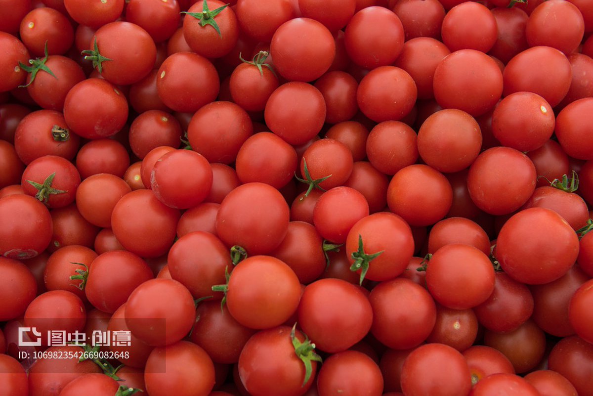 SAM RUFUS tweet media