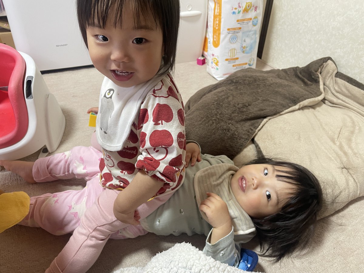 こんこん tweet media