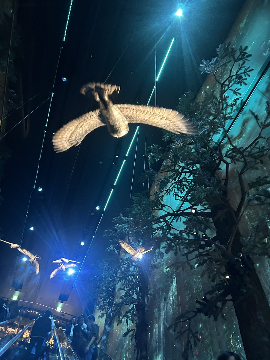 もなか@ユニアリ tweet media