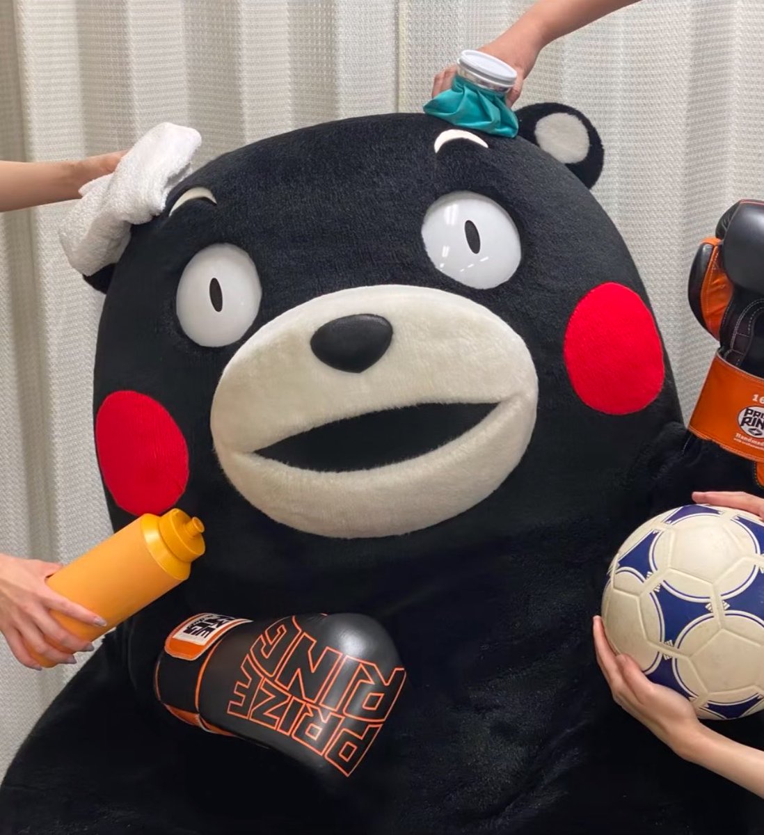 メロンパン tweet media