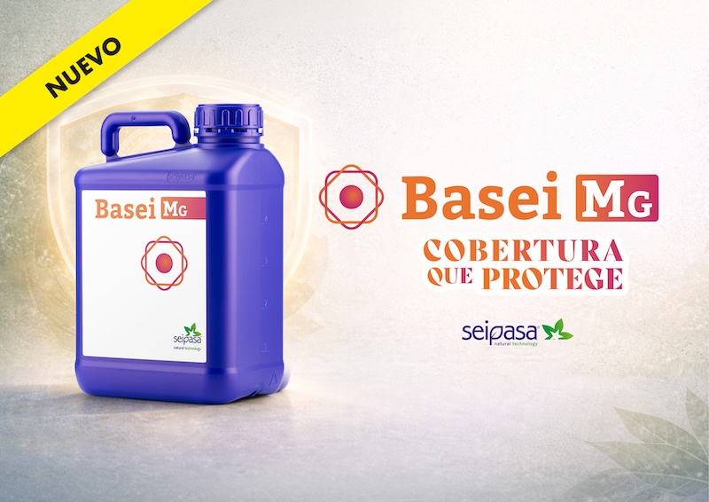 REVISTAFYH's tweet image. @seipasa lanza #BaseiMg, la nueva solución natural de acción #fungicida

El producto se posiciona como alternativa que refuerza las estrategias de #biocontrol y ofrece una defensa foliar integral frente a #enfermedades.

fyh.es/seipasa-lanza-… #industriaauxiliar