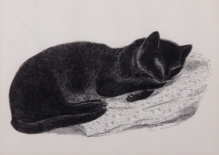cactusian's tweet image. Peggy Bacon 🇺🇸 (b. 2.5.1895)

'Contentment' (1936)
Lithograph on wove paper
14 × 32.7 cm
@DIADetroit 

('Sleeping Cat')
Etching on paper
24.1 × 17.8 cm

'The Haunted House' (1939 )
Drypoint in black on wove paper
17.6 × 12.4 cm
@ngadc 

#Caturday
