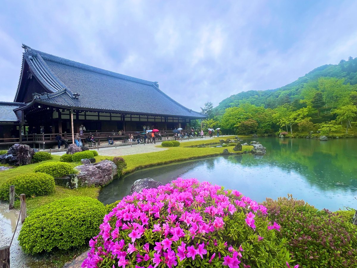 P96684568's tweet photo. #大徳寺 #竜安寺 #仁和寺 #天龍寺 https://t.co/BOJYZJwg4P