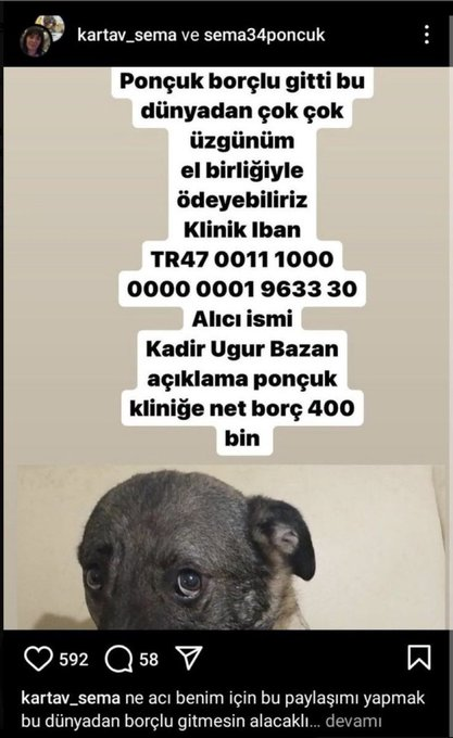 Orhan Aydın tweet media
