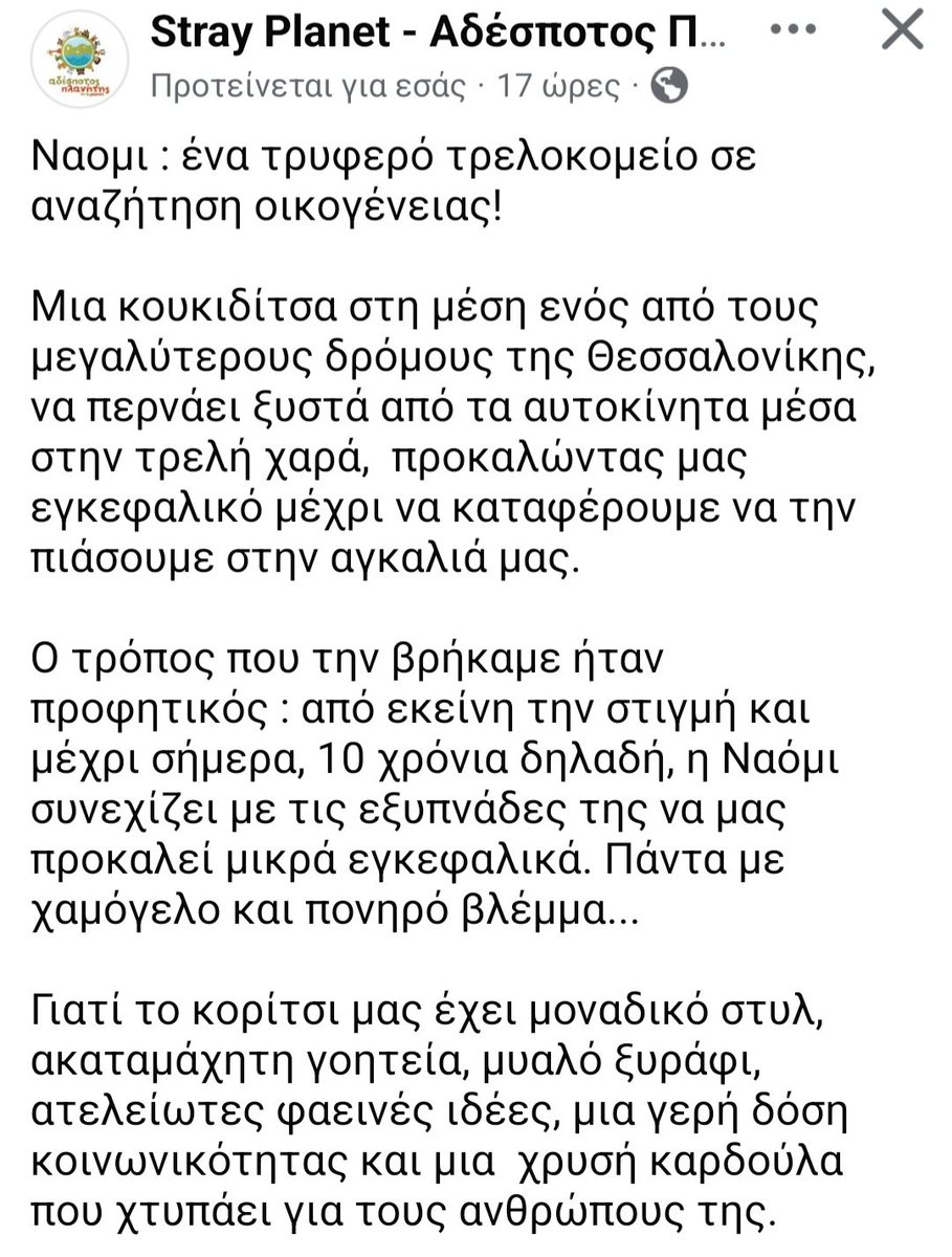 Χλε_Μπονα Σαμερ tweet media