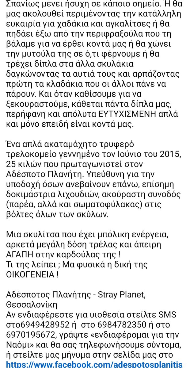 Χλε_Μπονα Σαμερ tweet media