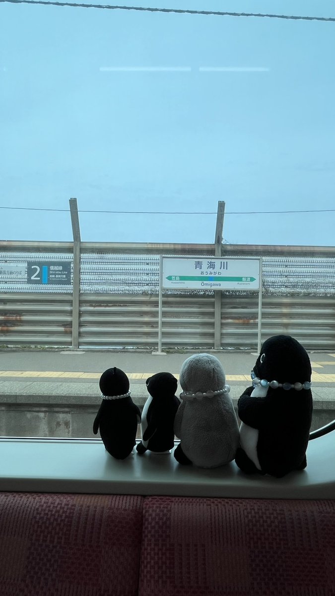 緋彗🐧 tweet media