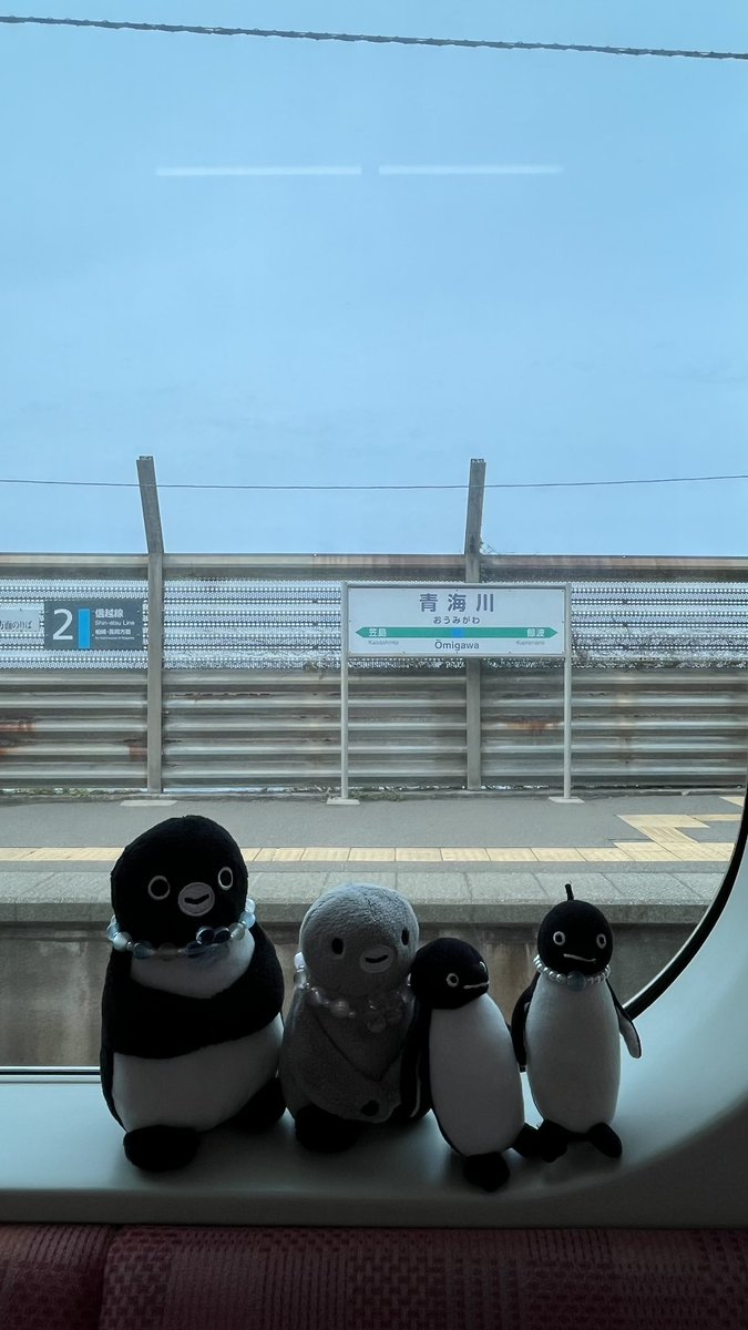 緋彗🐧 tweet media