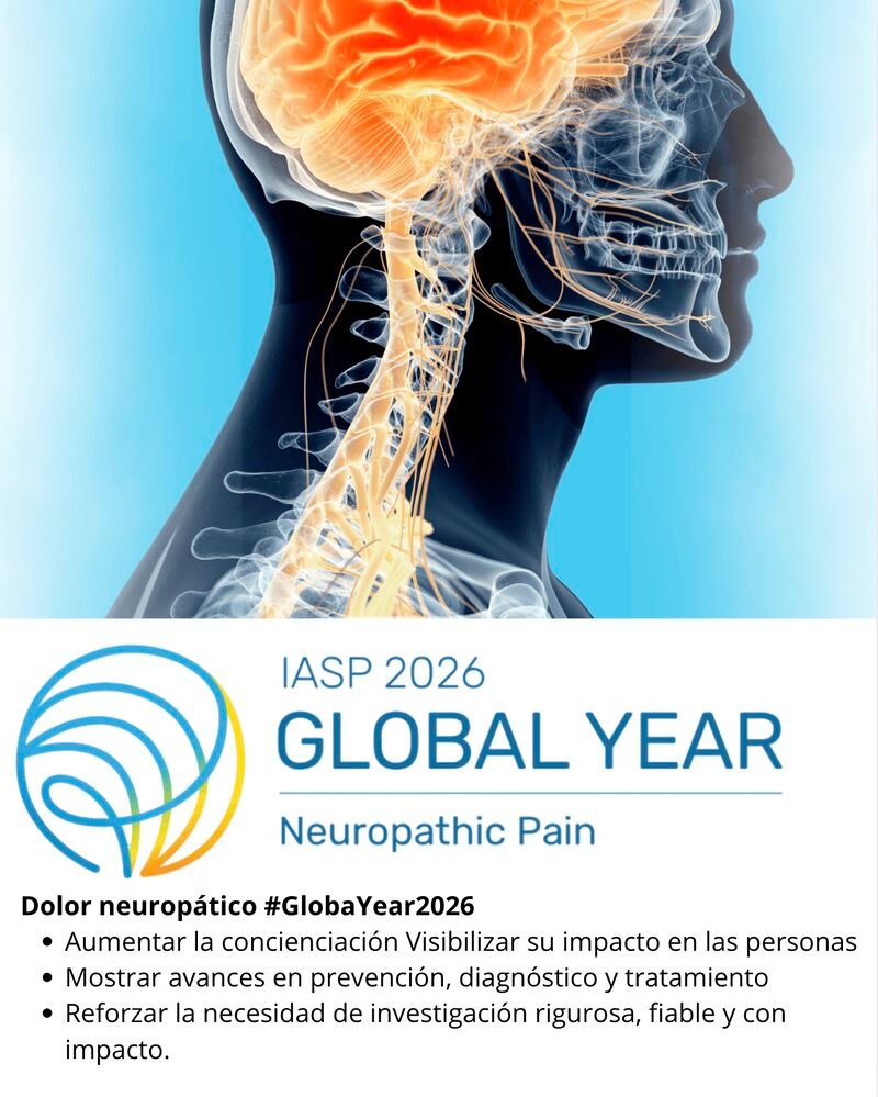 Sociedad Española del Dolor #SEDOLOR26 tweet media