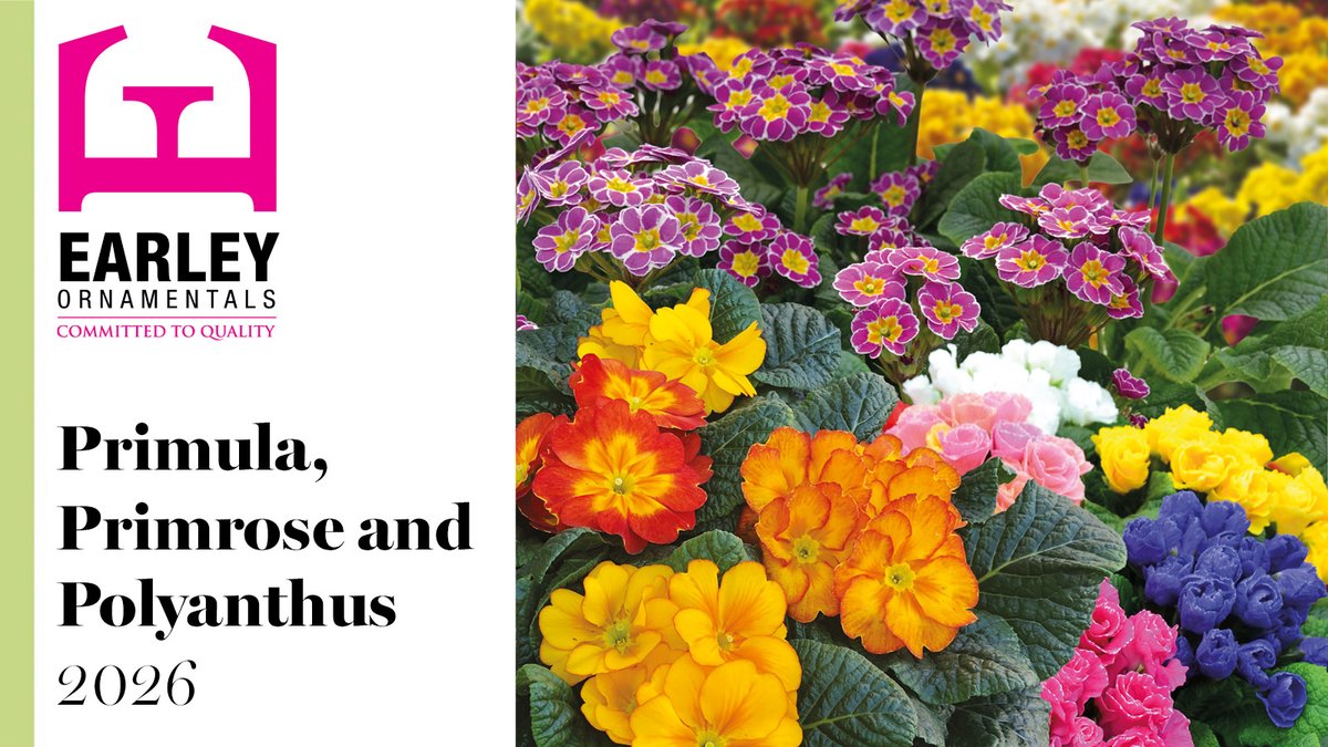 Earley Ornamentals tweet media