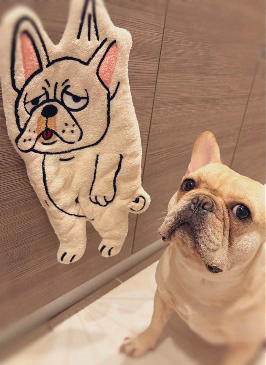 まおと🫍💚綾瀬まお tweet media