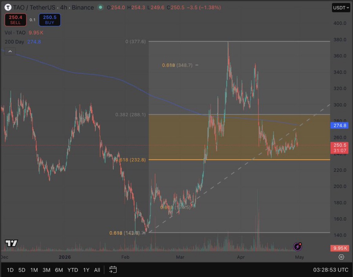 Sashawright_1's tweet image. $TAO at $250.5. Pulling back but structure intact.

$232.8 is the line. 61.8% Fib. Held every serious test since March. As long as it holds the setup is valid.

Volume thinning on the pullback. Consolidation not distribution.
Reclaim $274.8 and momentum shifts. Break $288.1 and
